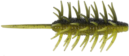 Coike Shrimp Mangun - HIDEUP