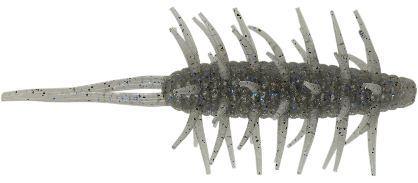 Coike Shrimp Mangun - HIDEUP