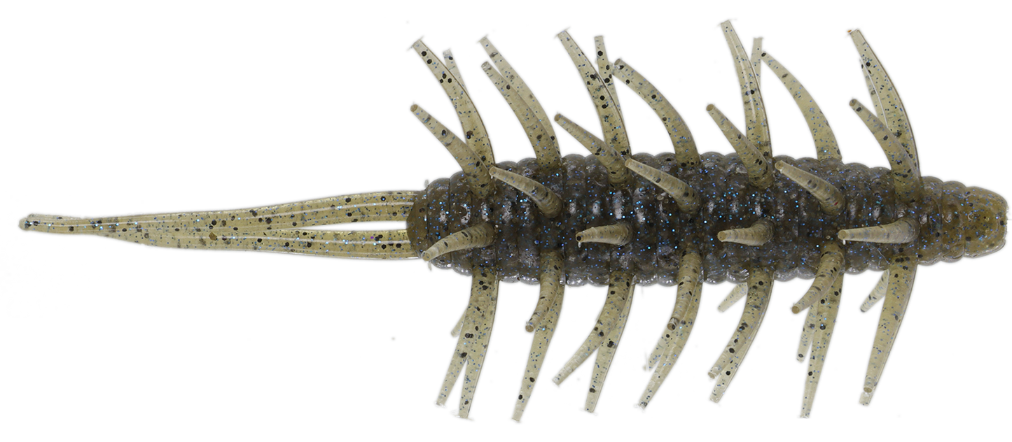 Coike Shrimp Mangun - HIDEUP