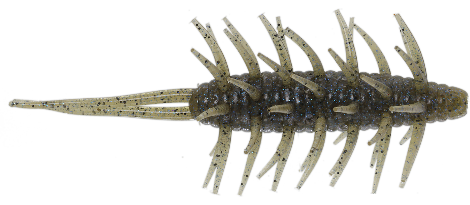 Coike Shrimp Mangun - HIDEUP