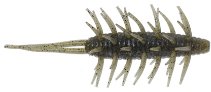 Coike Shrimp Mangun - HIDEUP