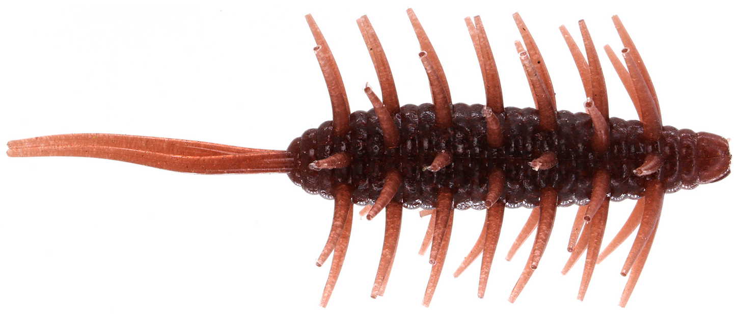 Coike Shrimp Mangun - HIDEUP