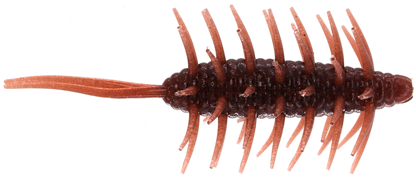 Coike Shrimp Mangun - HIDEUP