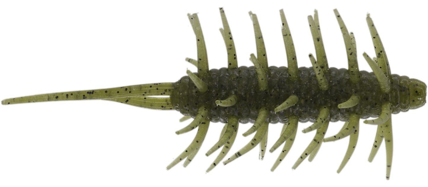 Coike Shrimp Mangun - HIDEUP