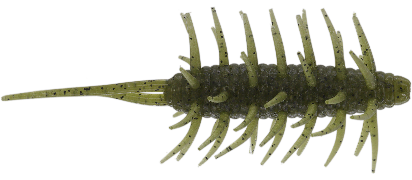 Coike Shrimp Mangun - HIDEUP