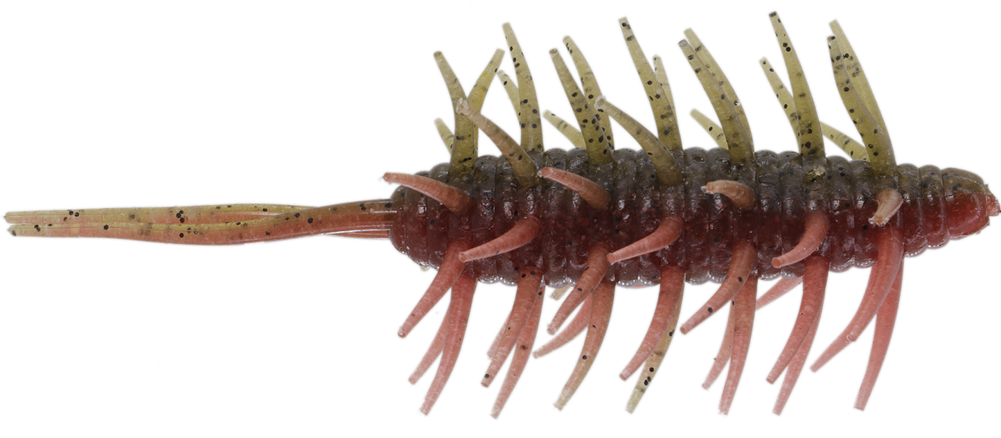 Coike Shrimp Mangun - HIDEUP