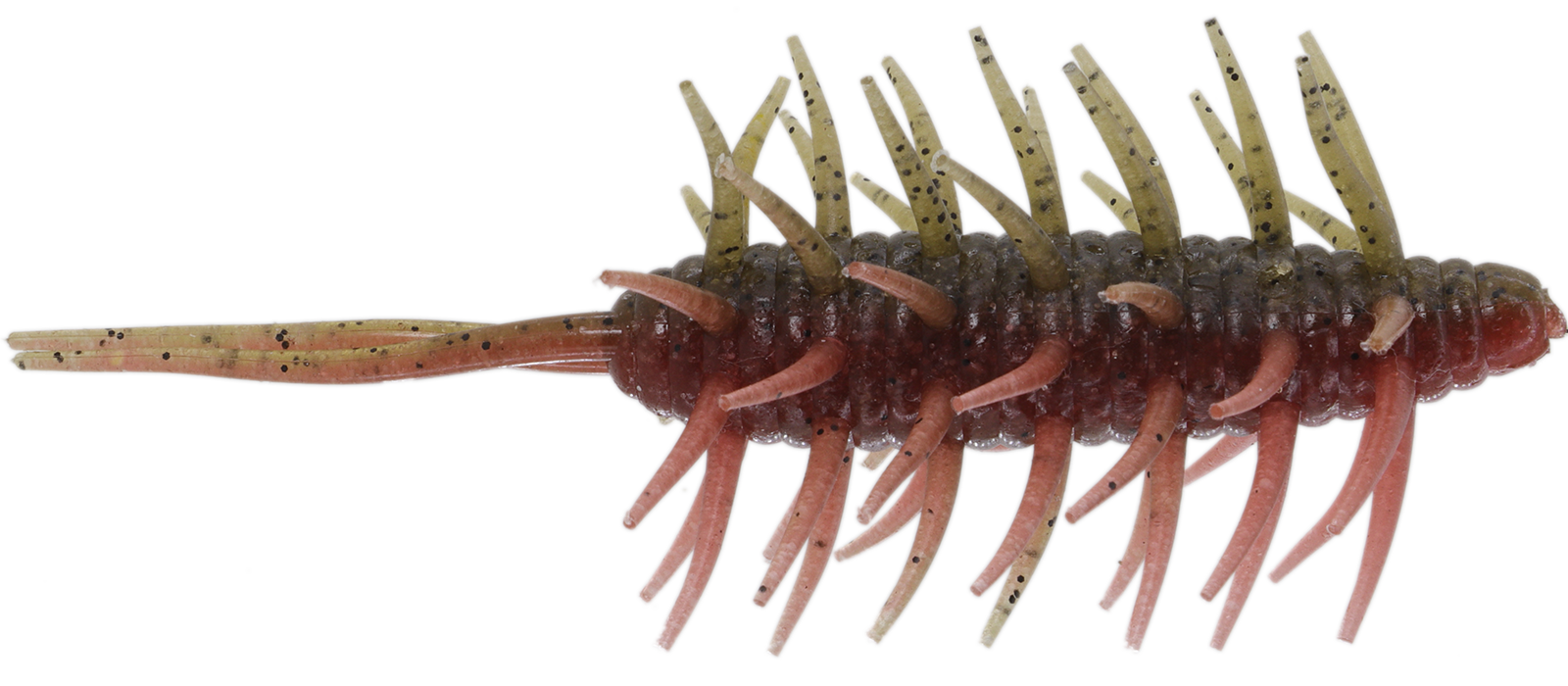 Coike Shrimp Mangun - HIDEUP