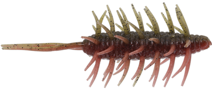 Coike Shrimp Mangun - HIDEUP