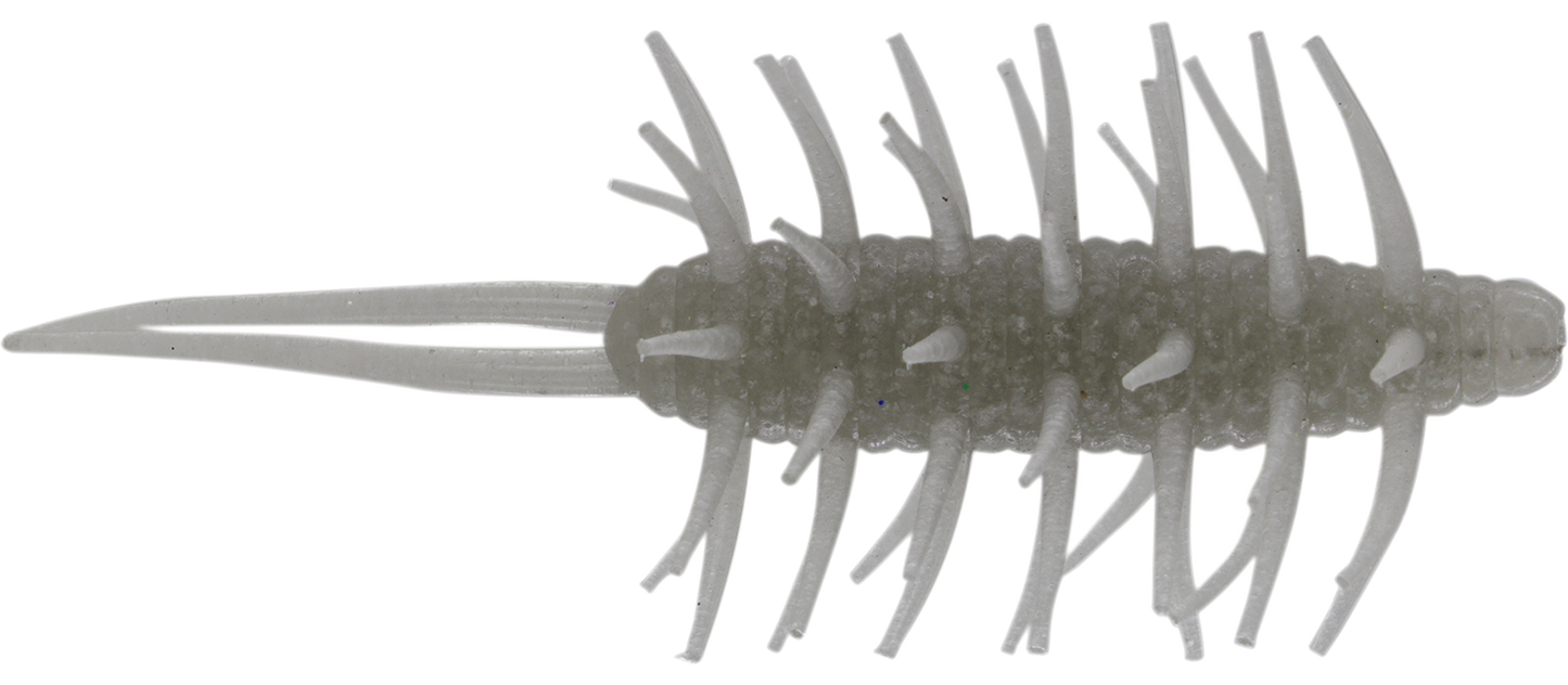 Coike Shrimp Mangun - HIDEUP