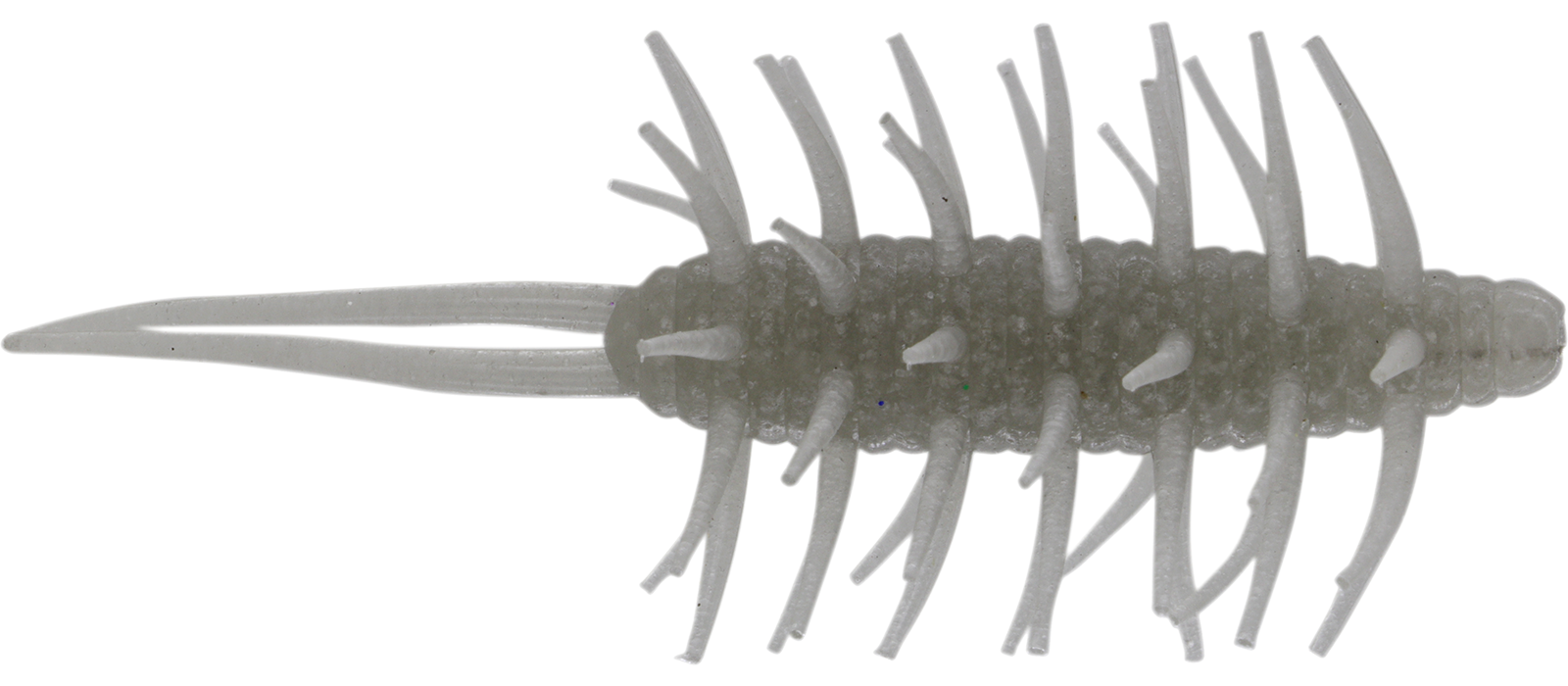 Coike Shrimp Mangun - HIDEUP
