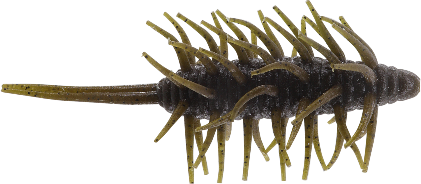 Coike Shrimp Big - HIDEUP