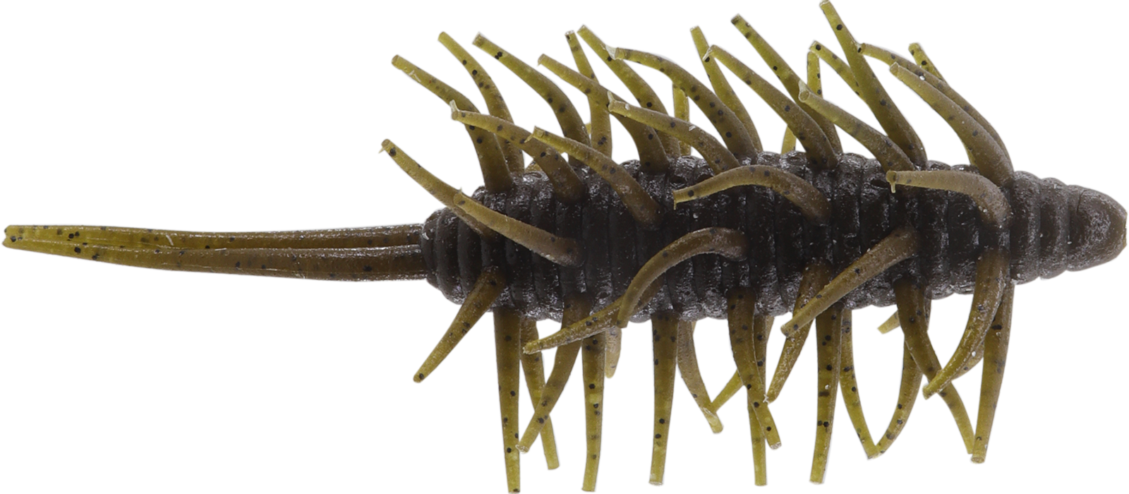 Coike Shrimp Big - HIDEUP