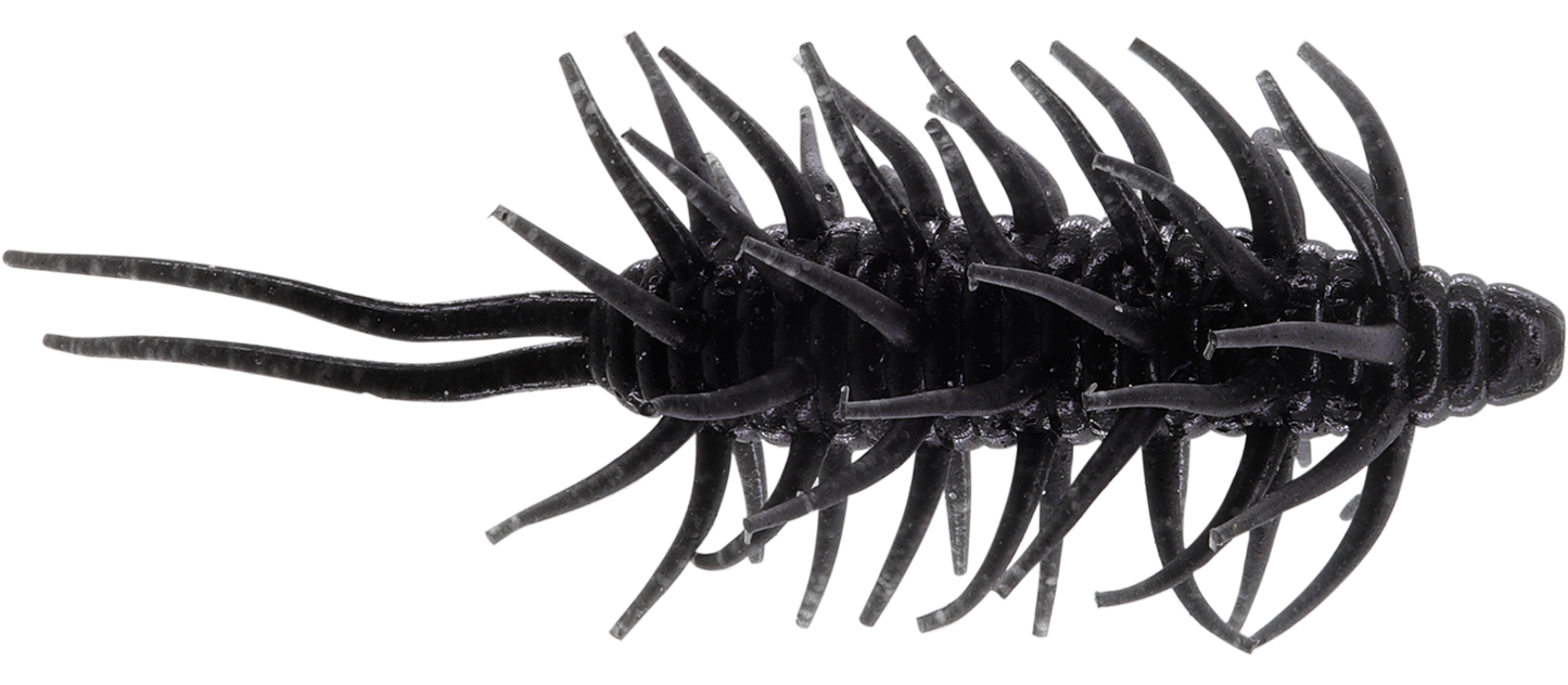 Coike Shrimp Big - HIDEUP