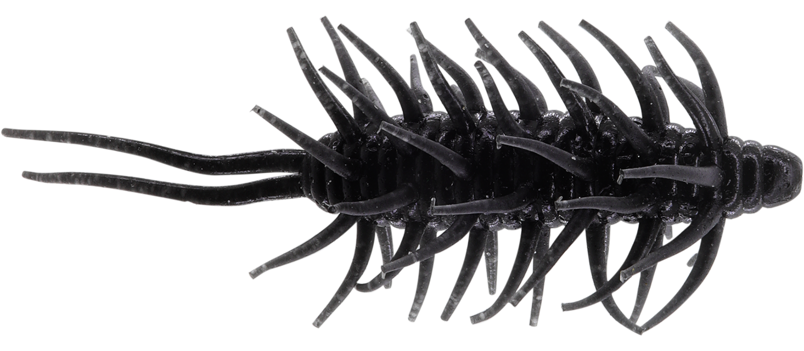 Coike Shrimp Big - HIDEUP