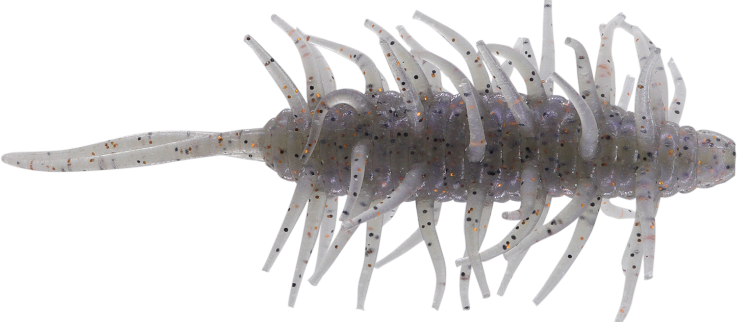 Coike Shrimp Big - HIDEUP