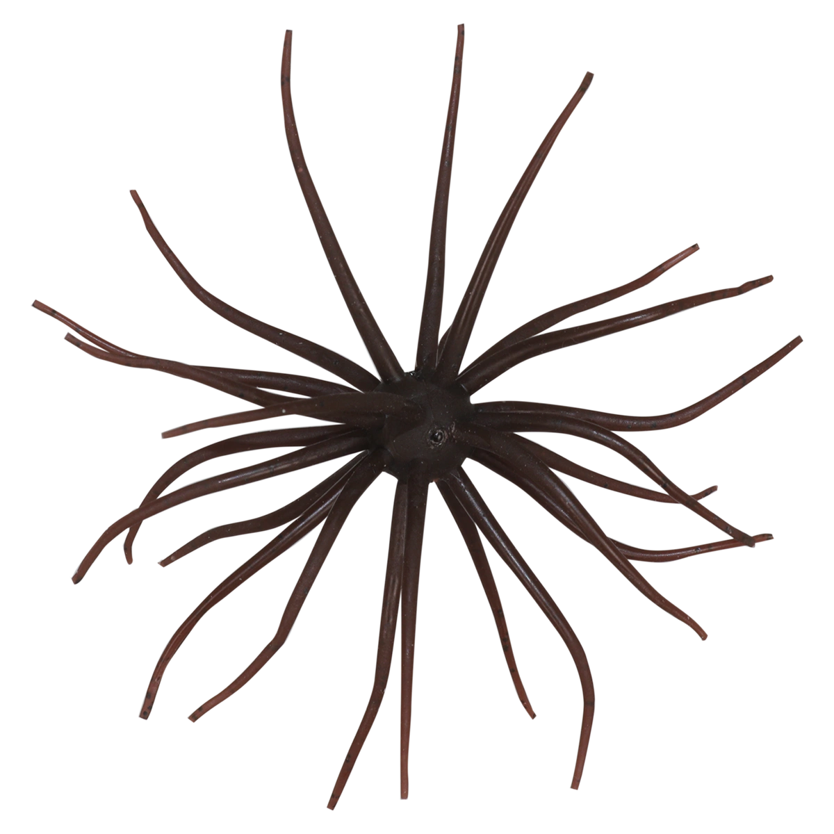 Kyu Coike (Old Coike) - HIDEUP