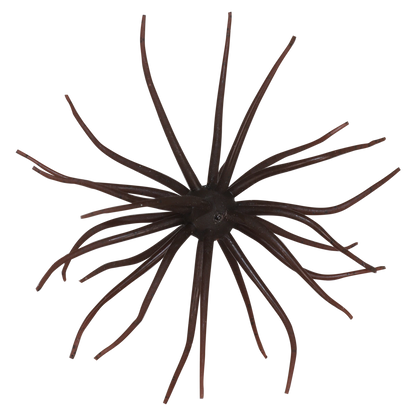 Kyu Coike (Old Coike) - HIDEUP