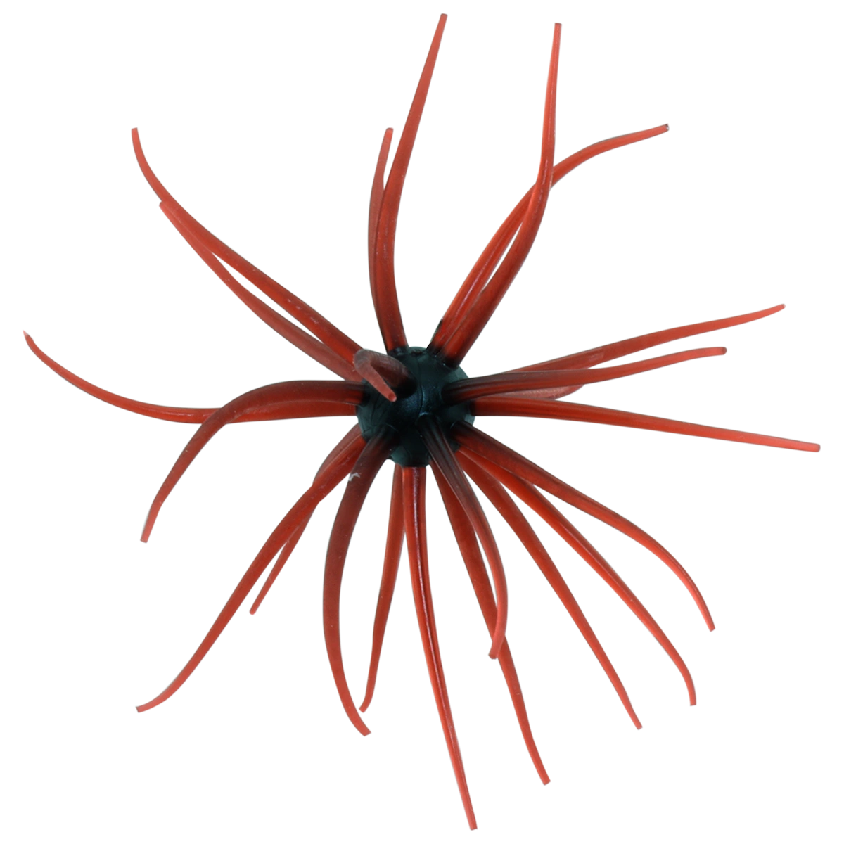 Kyu Coike (Old Coike) - HIDEUP