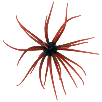 Kyu Coike (Old Coike) - HIDEUP