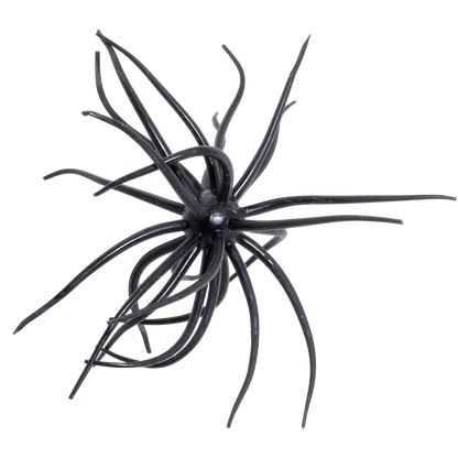 Kyu Coike (Old Coike) - HIDEUP