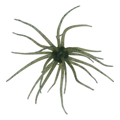 Kyu Coike (Old Coike) - HIDEUP