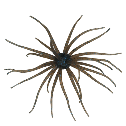 Kyu Coike (Old Coike) - HIDEUP