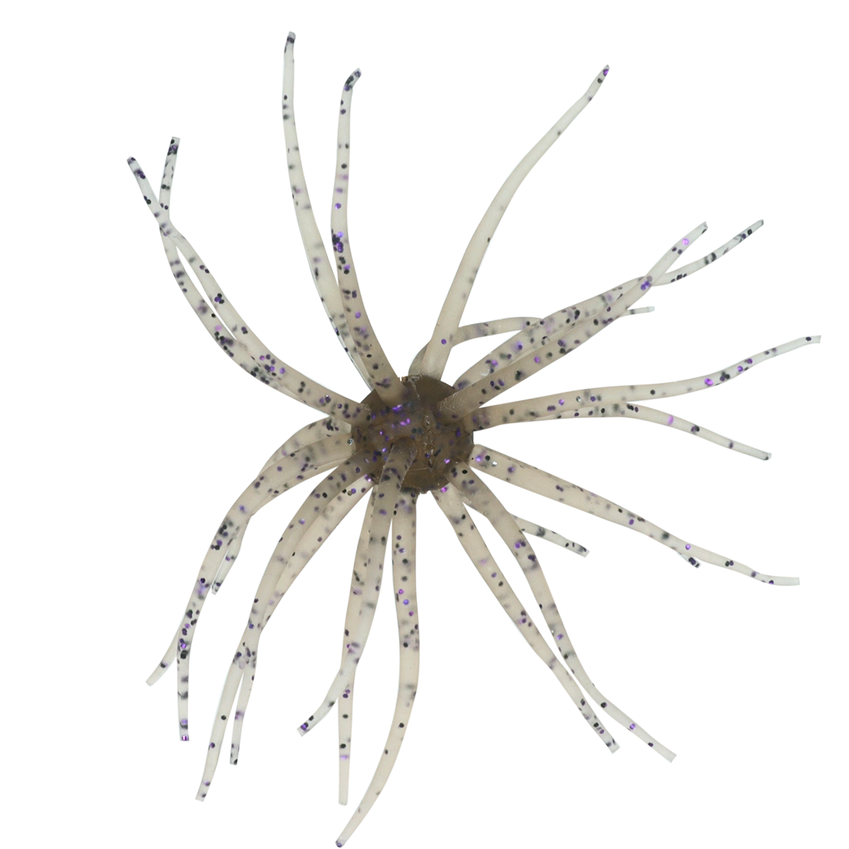 Kyu Coike (Old Coike) - HIDEUP