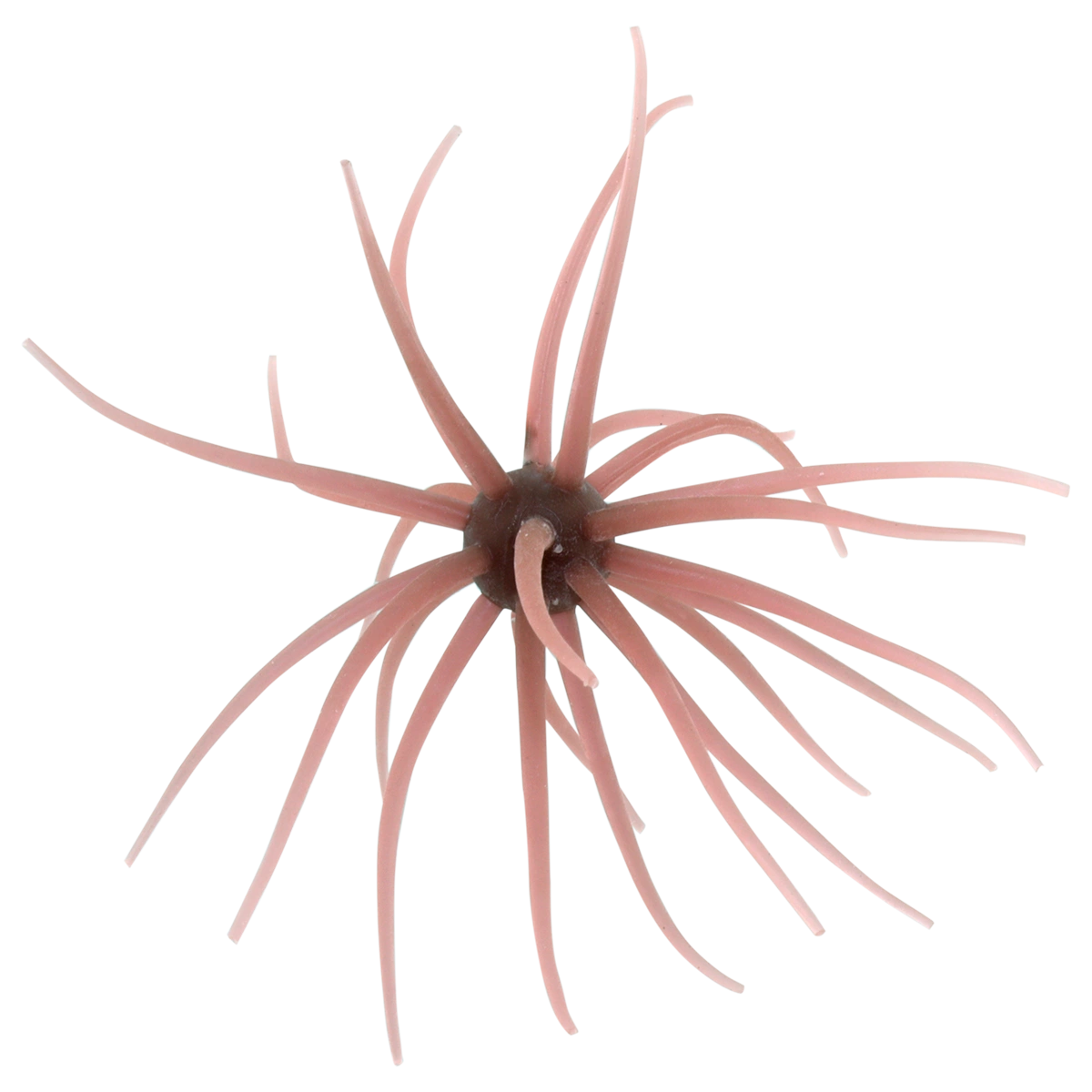 Kyu Coike (Old Coike) - HIDEUP