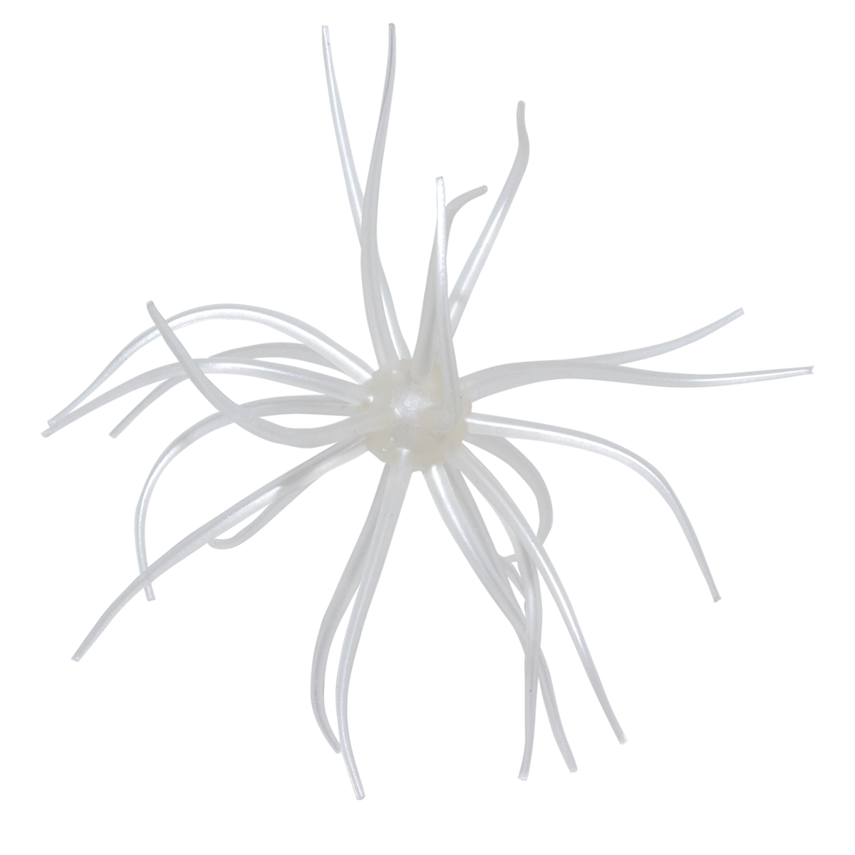 Kyu Coike (Old Coike) - HIDEUP