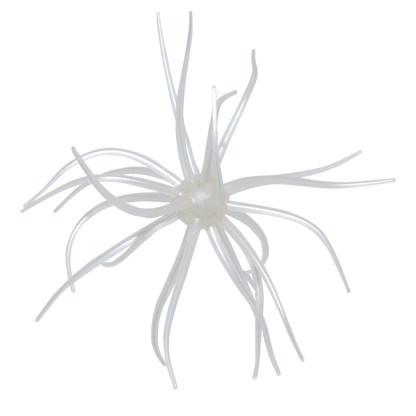 Kyu Coike (Old Coike) - HIDEUP