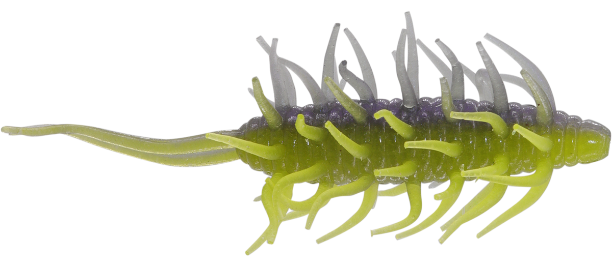 Coike Shrimp Big - HIDEUP