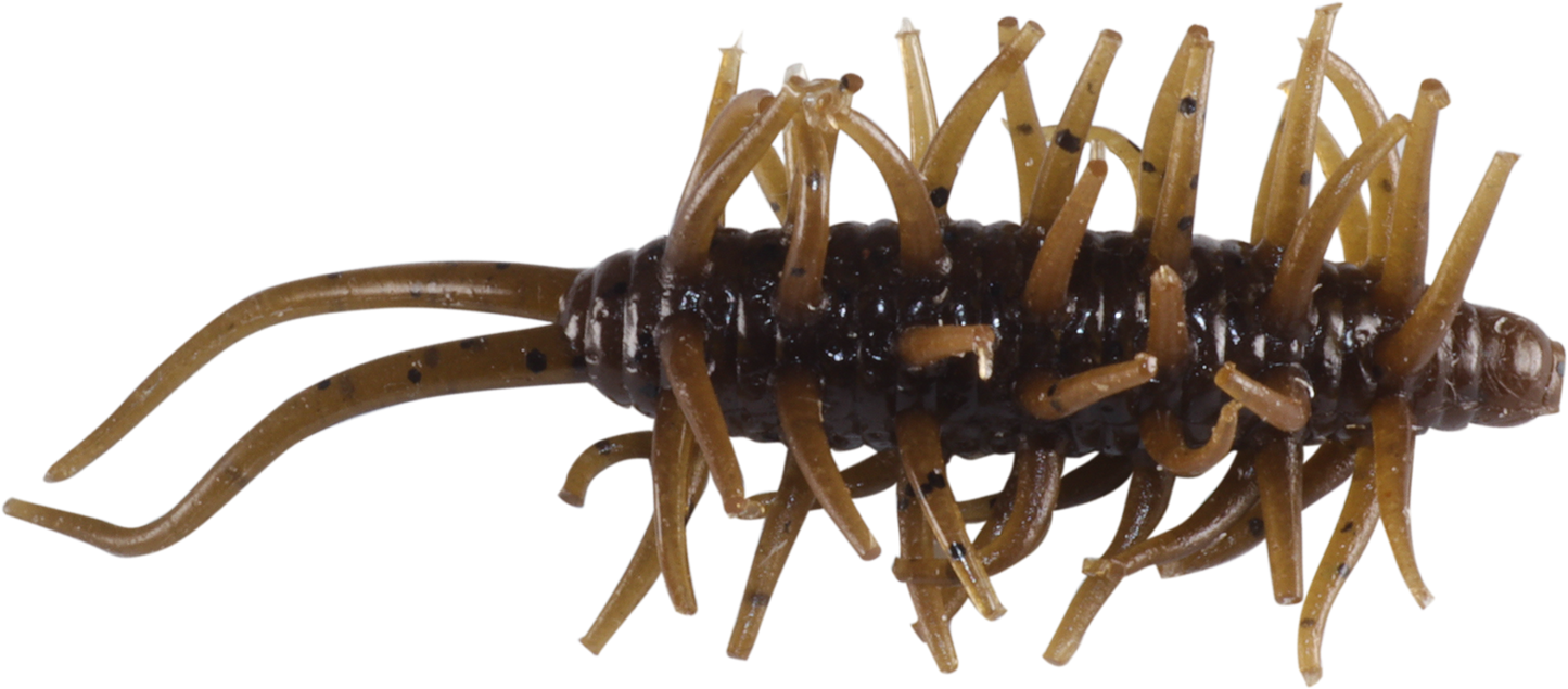 Coike Shrimp Mini - HIDEUP