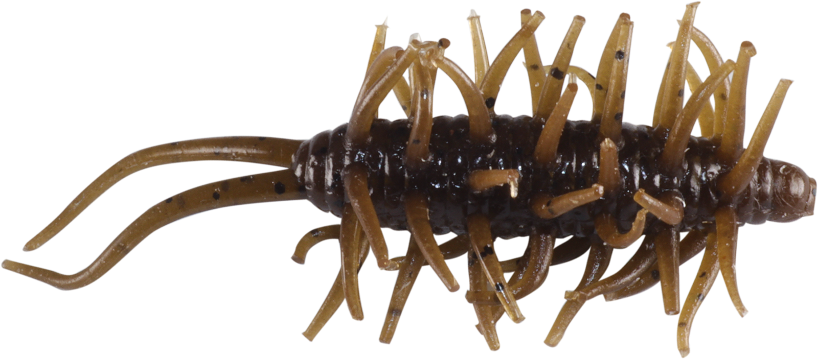 Coike Shrimp Mini - HIDEUP