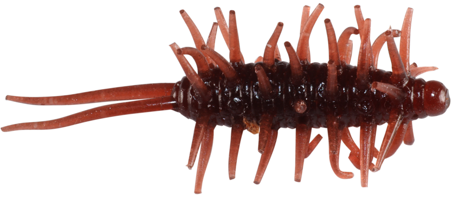 Coike Shrimp Mini - HIDEUP