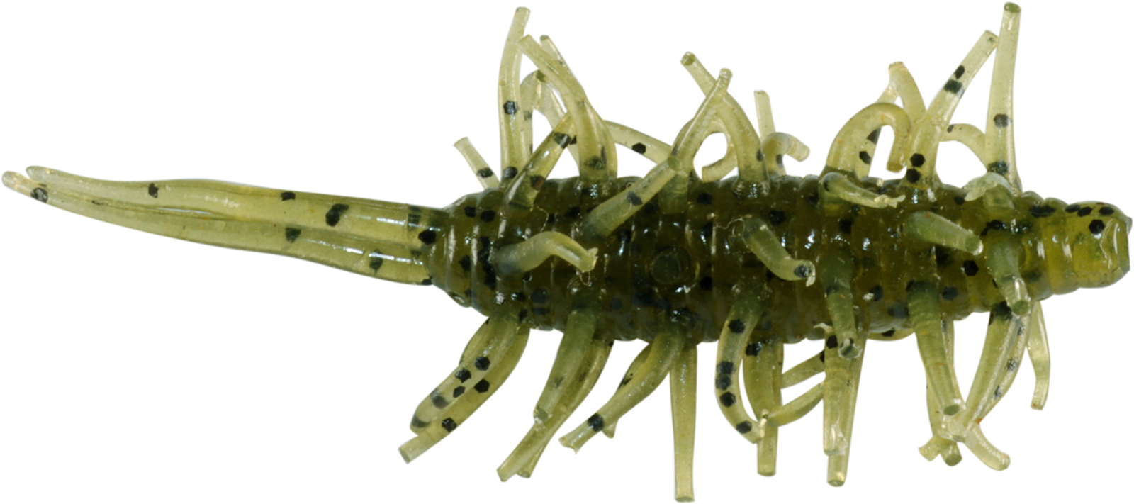 Coike Shrimp Mini - HIDEUP