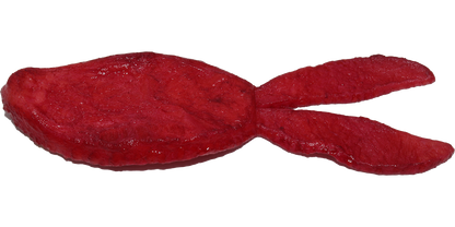 STAGGER Wide Twin Tail Pork - HIDEUP