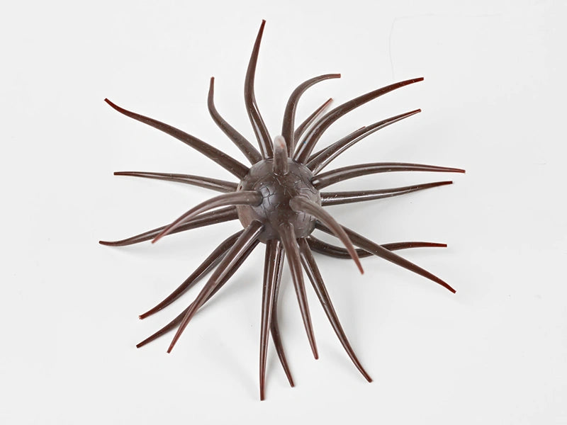 Coike fullcast - HIDEUP