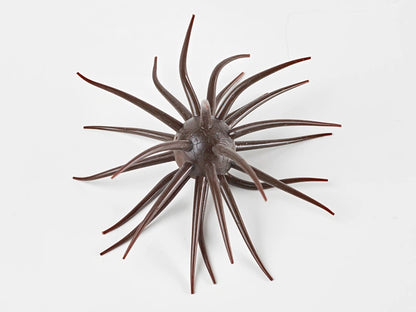 Coike fullcast - HIDEUP