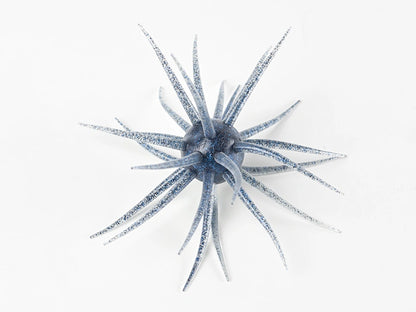 Coike fullcast - HIDEUP