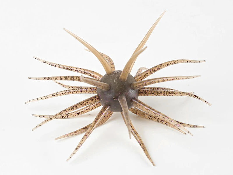 Coike fullcast - HIDEUP