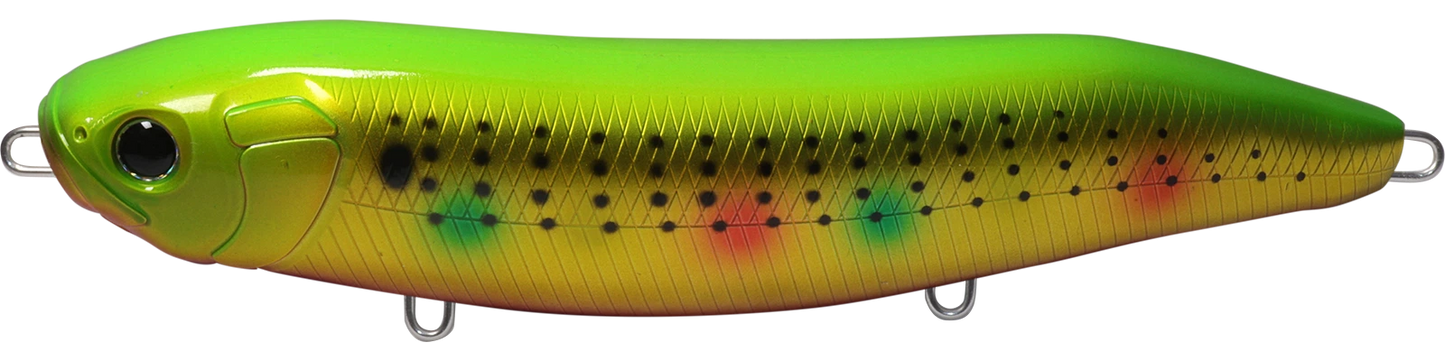 PYLON 185 (Saltwater) - HIDEUP