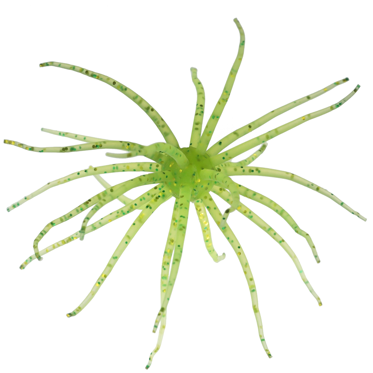 Kyu Coike (Old Coike) - HIDEUP