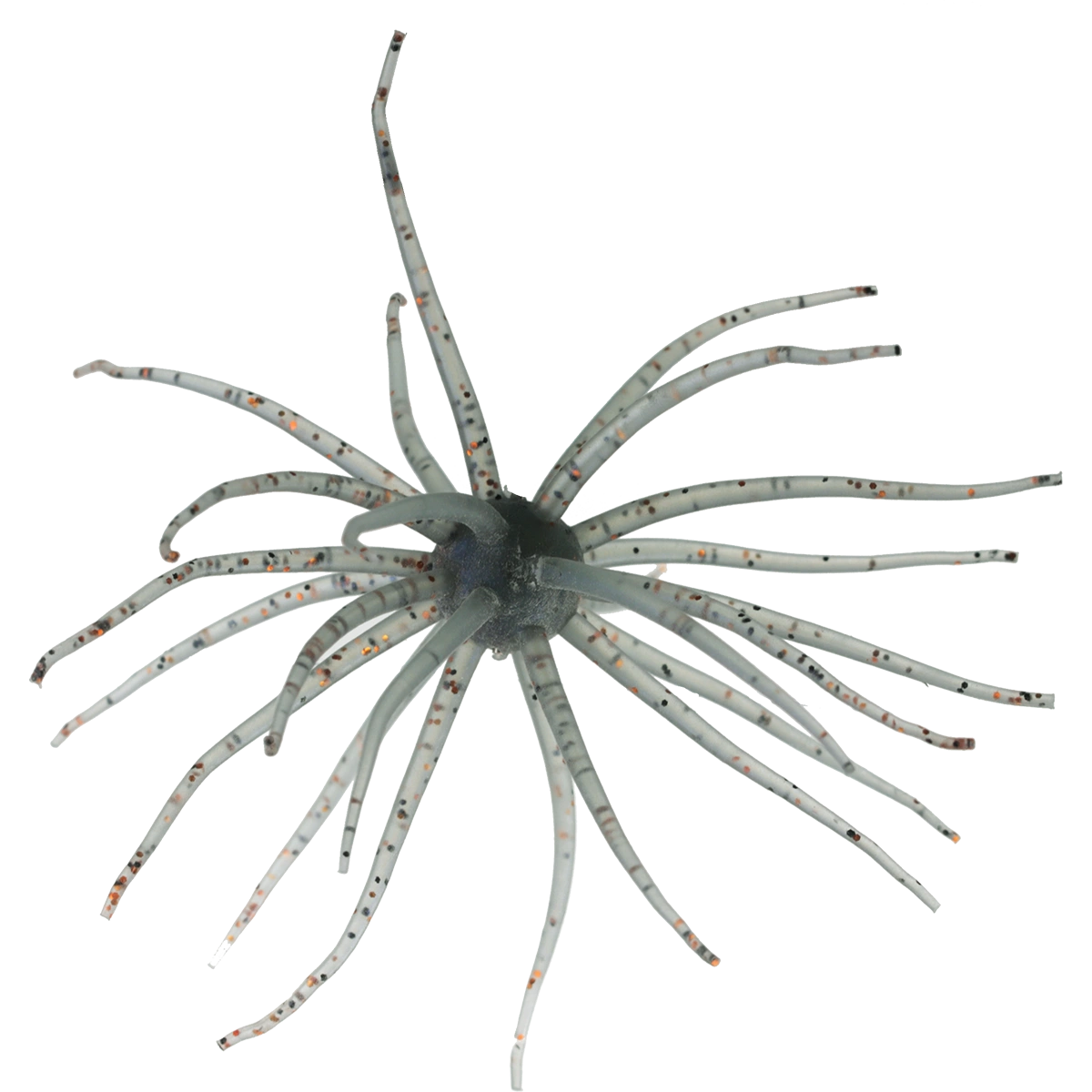 Kyu Coike (Old Coike) - HIDEUP