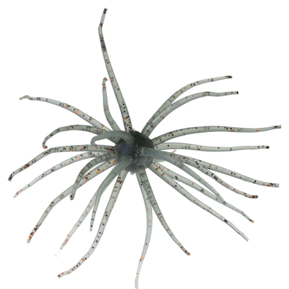 Kyu Coike (Old Coike) - HIDEUP