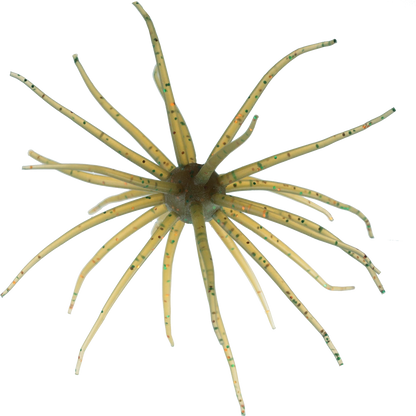 Kyu Coike (Old Coike) - HIDEUP