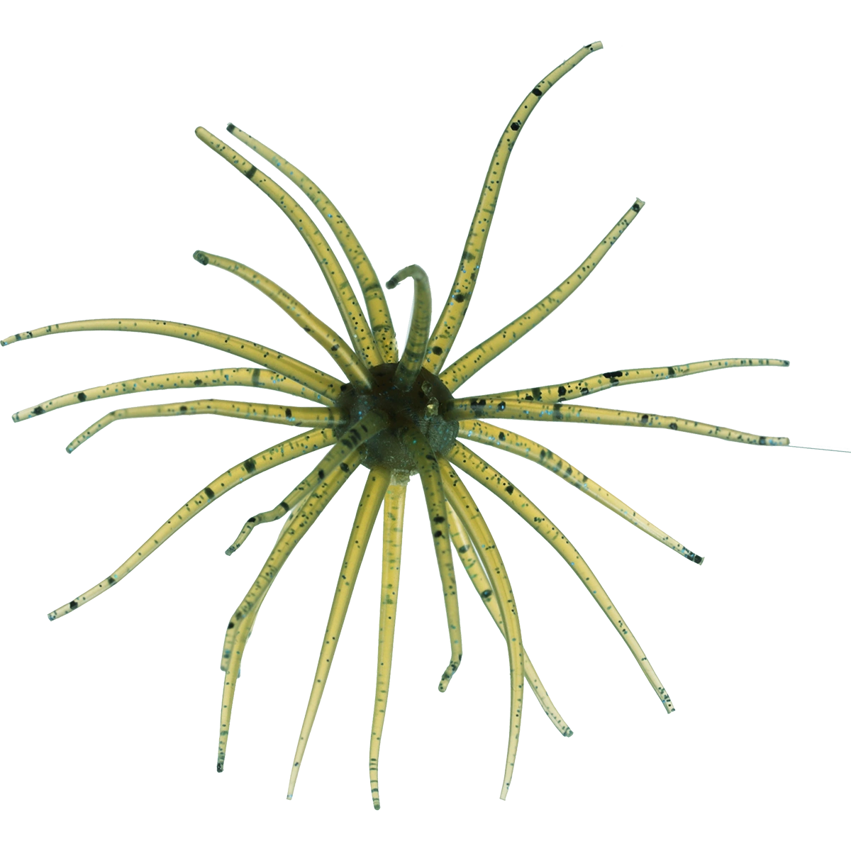 Kyu Coike (Old Coike) - HIDEUP