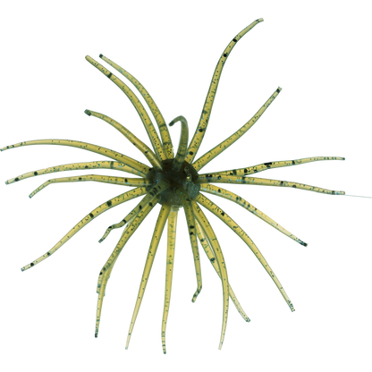 Kyu Coike (Old Coike) - HIDEUP