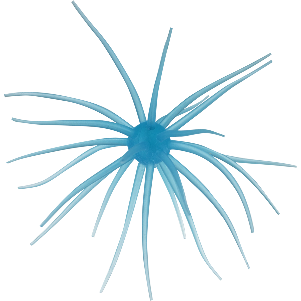 Kyu Coike (Old Coike) - HIDEUP