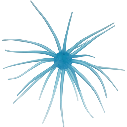 Kyu Coike (Old Coike) - HIDEUP