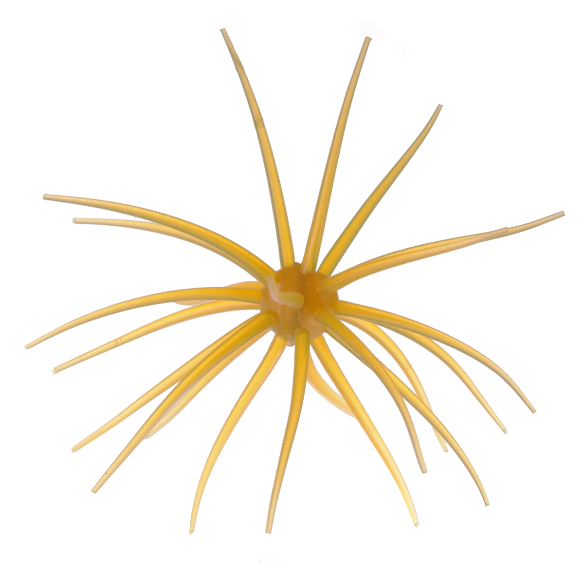 Kyu Coike (Old Coike) - HIDEUP